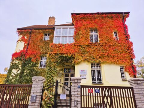 Jeden obyčejný den ve školce